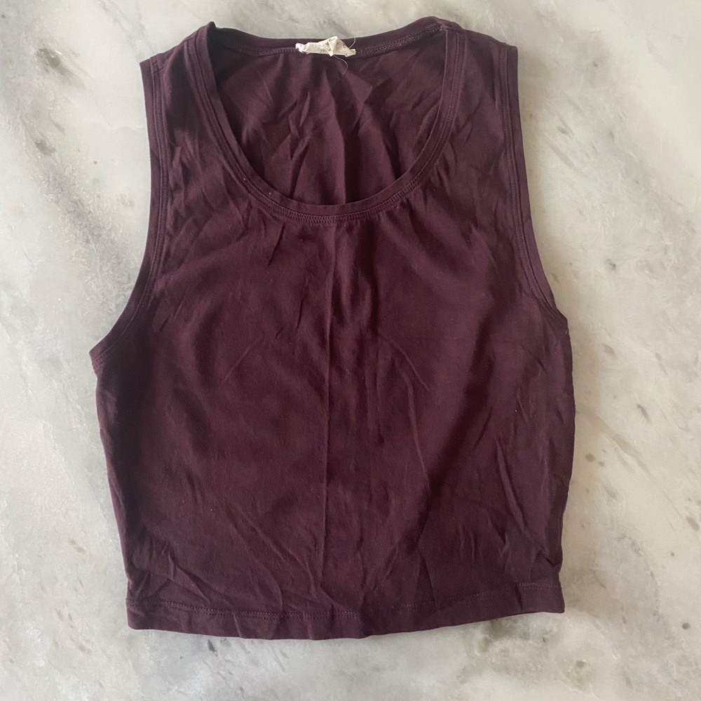 Wilfred Free (Aritzia) Crop Top